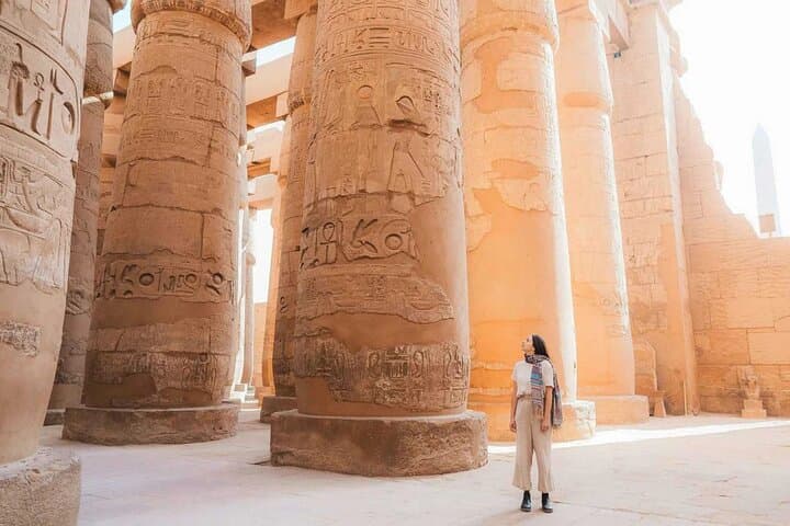 Private Luxor Highlights Day Tour East and West Bank