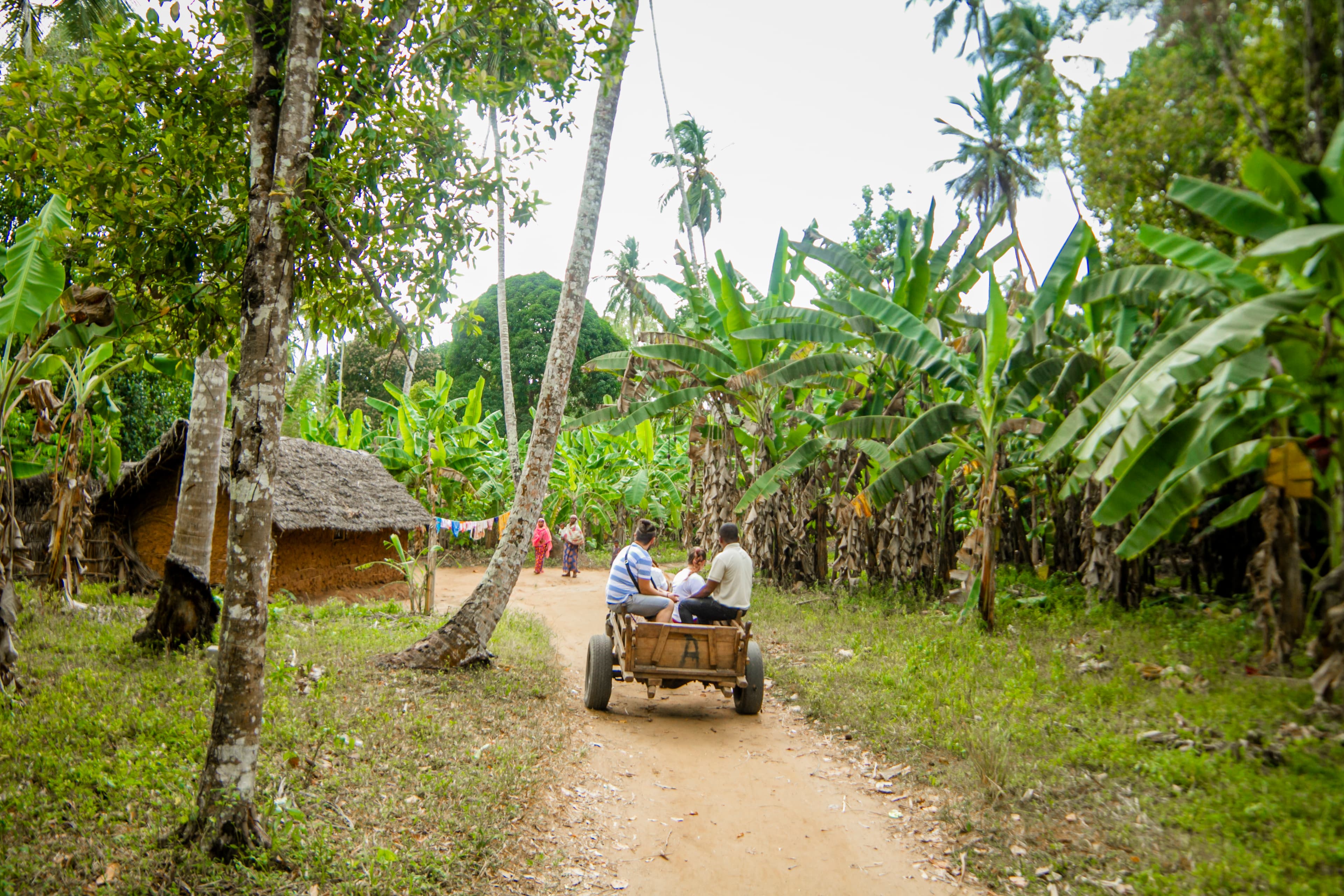 Swahili Village Tour