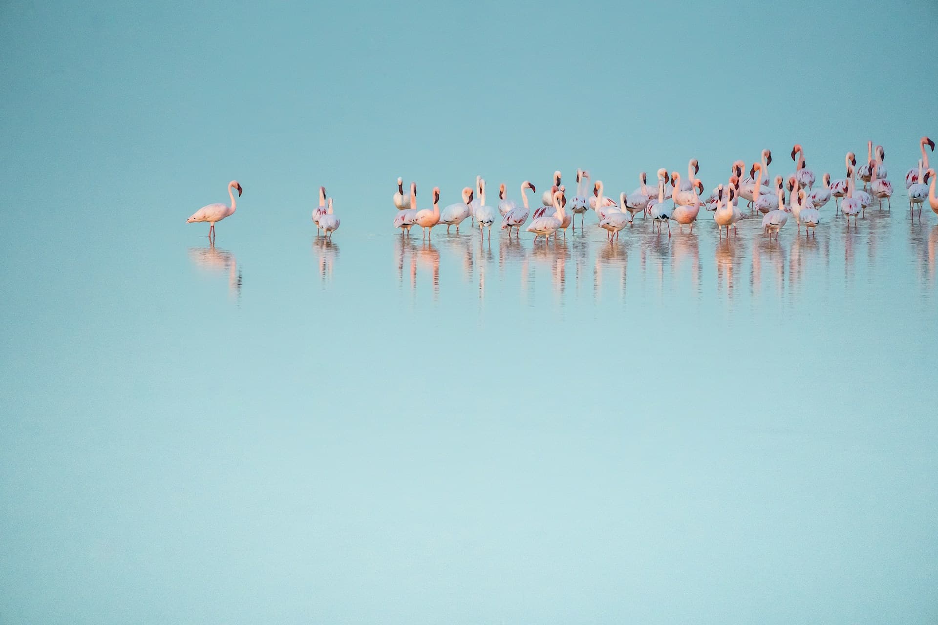 9 Days - The Best of Tanzania & Lake Natron Luxury Tented Camp Safari