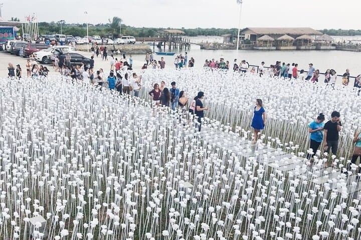 Heritage Tour with 10,000 Roses via CCLEX