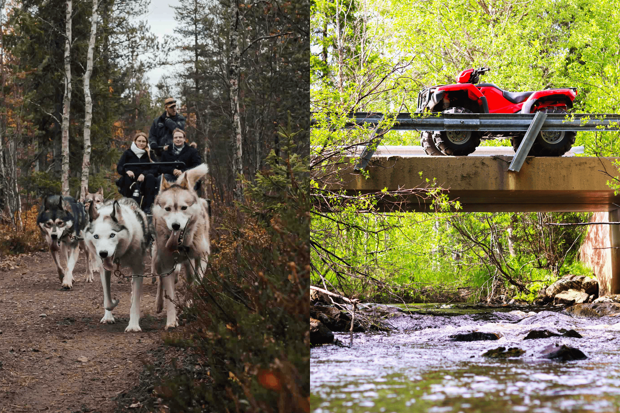 Thrilling Autumn Escapade with Huskies and Quad Bikes (Small-Group)