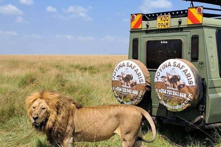 3-Days Masai Mara Safari, Midrange camp 4WD open roof Landcruiser