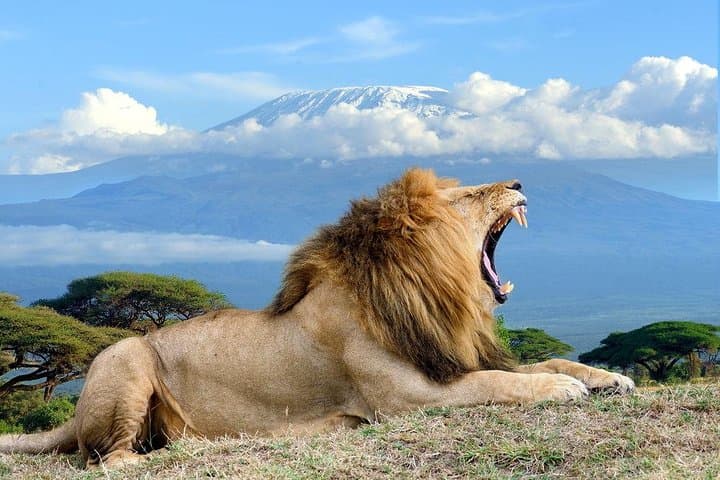 3 Day Tour to Amboseli Tsavo West & East to Mombasa/Diani/Nairobi