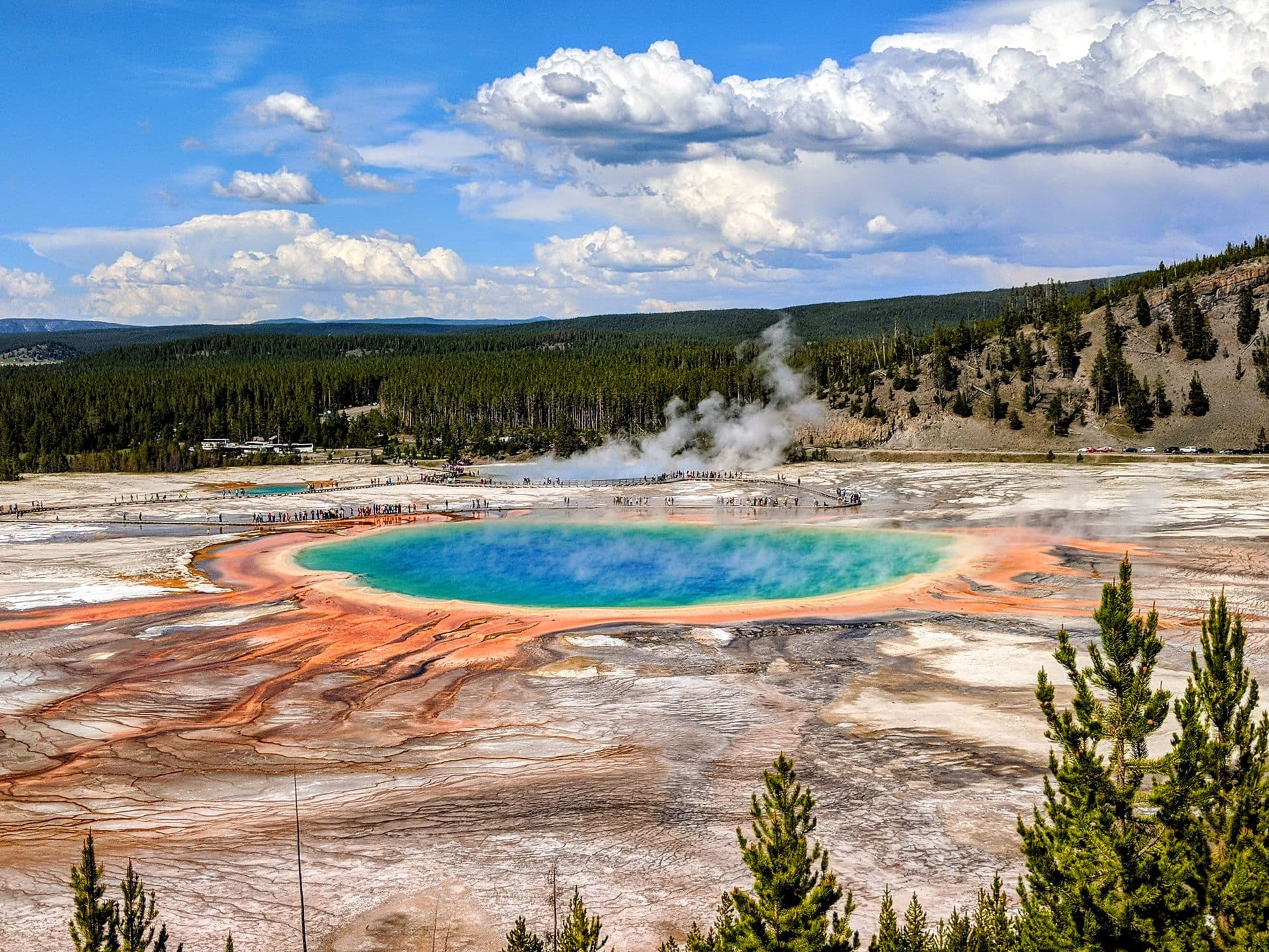 Wonders of Yellowstone Lower Loop Tour with Lunch PRIVATE!