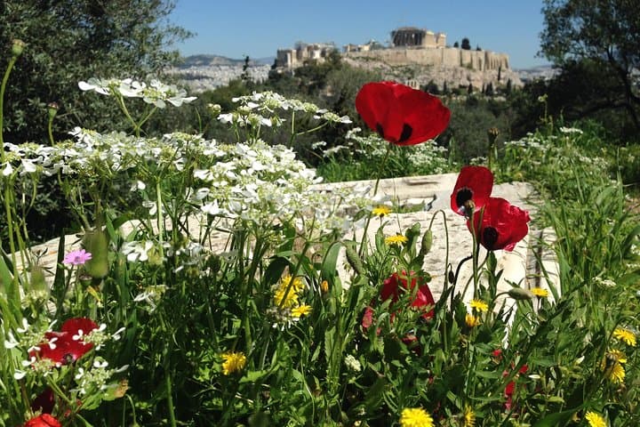 Hidden Athens Walking Tour with Picnic