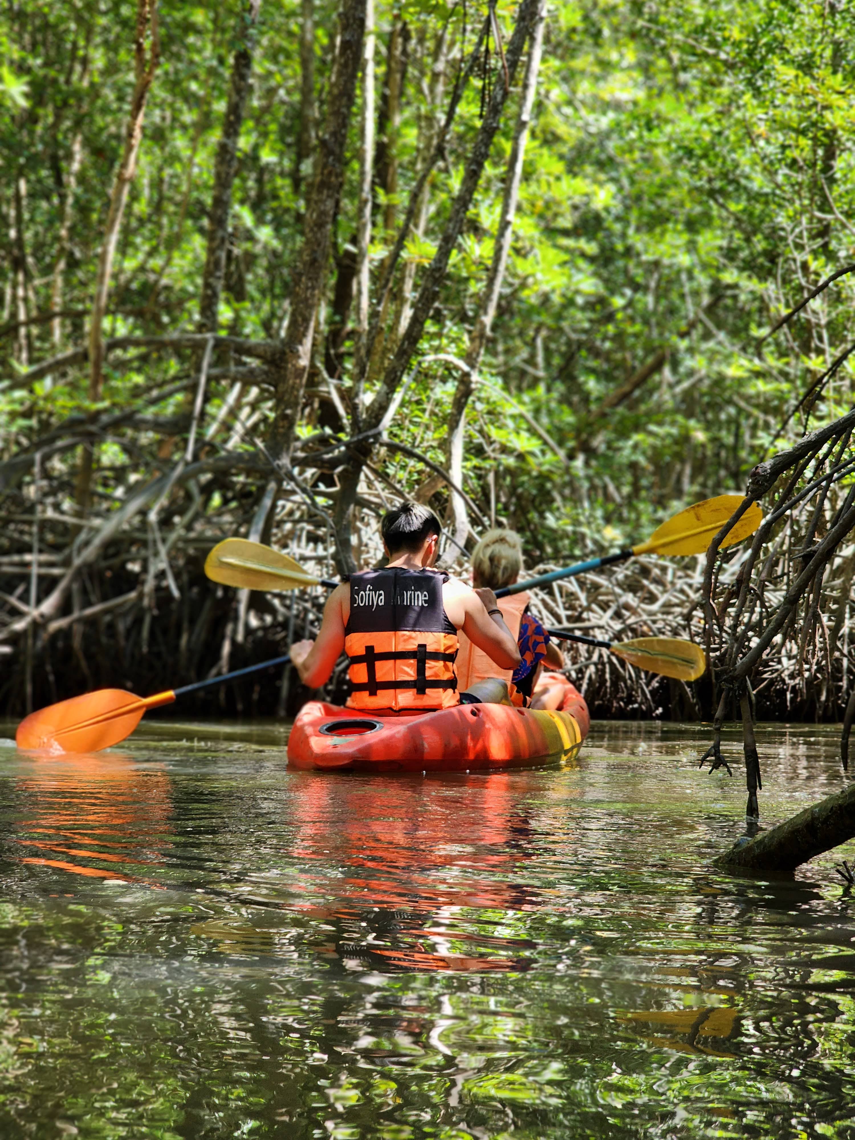 Deep Roots: A Jungle-to-Sea Kayaking & Trekking Adventure in Phuket