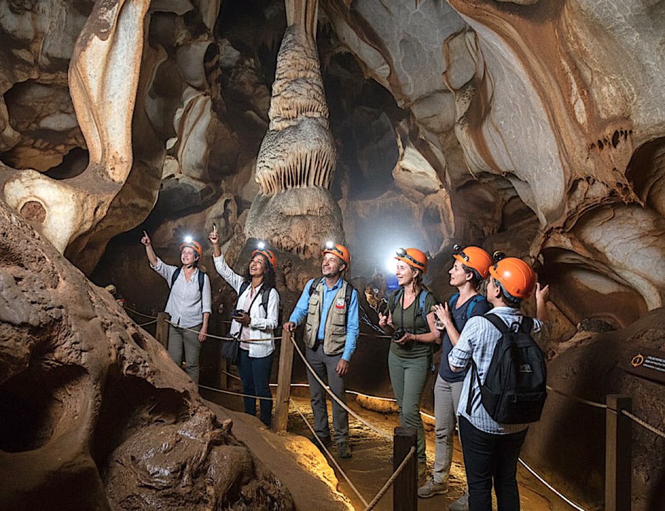 Half Day Cradle Of Humankind Tour