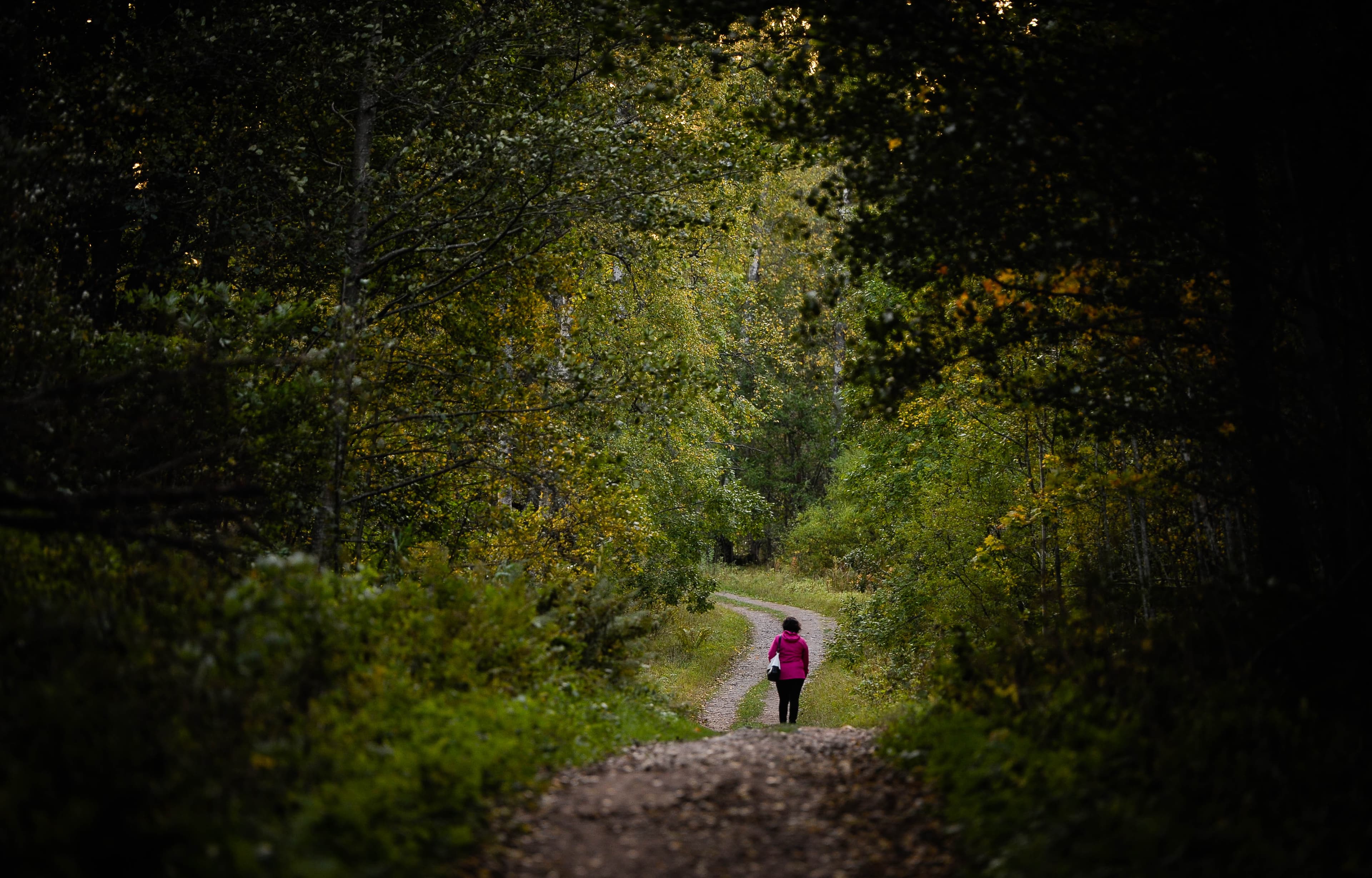 Redrib Helsinki Experience II