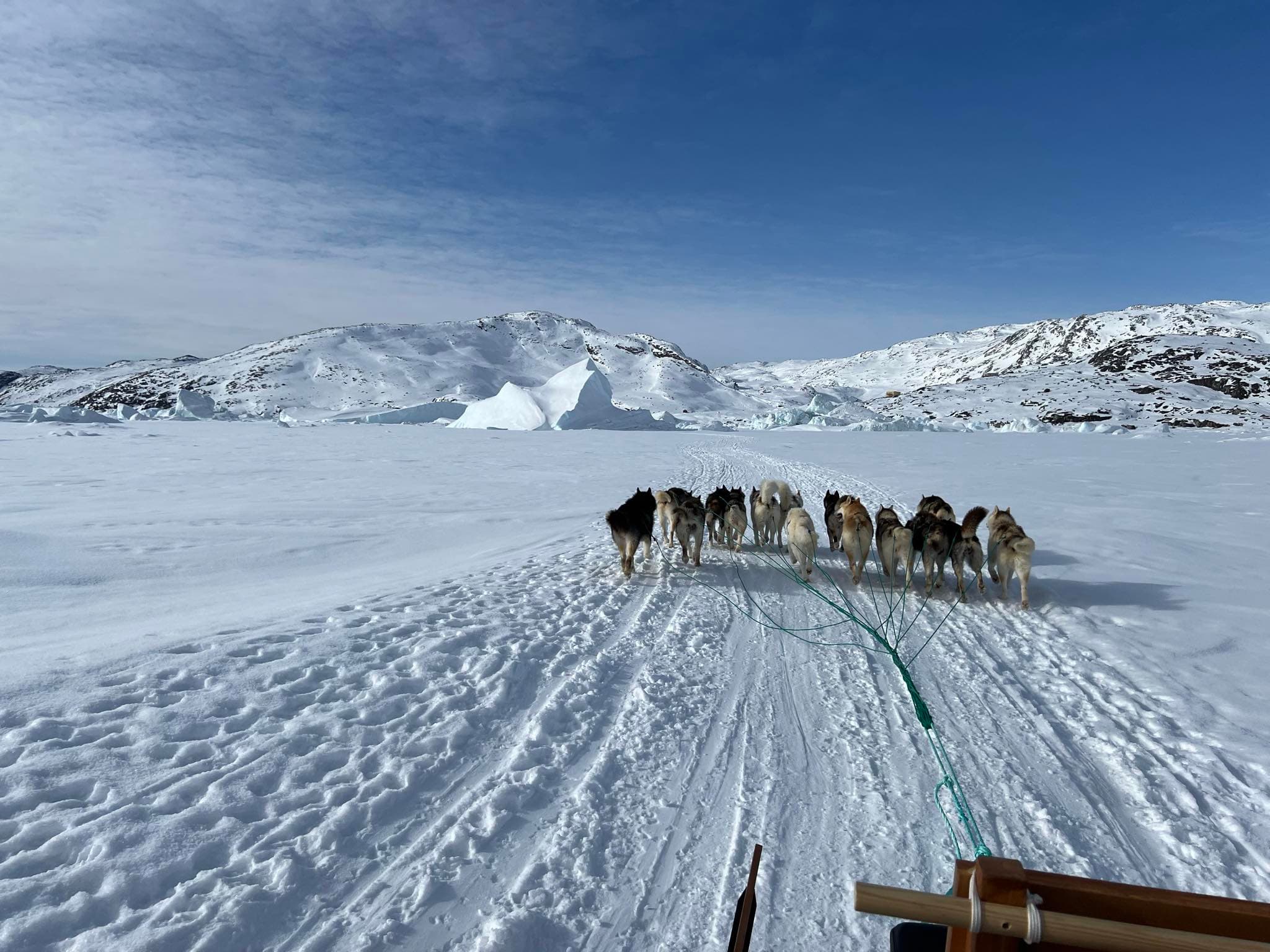 DOGSLEDDING TO THE GLACIER IN ILULISSAT - DAYTOUR