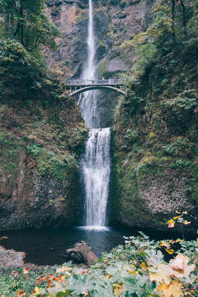 Afternoon Half-Day Multnomah Falls and Columbia River Gorge Waterfalls Tour from Portland