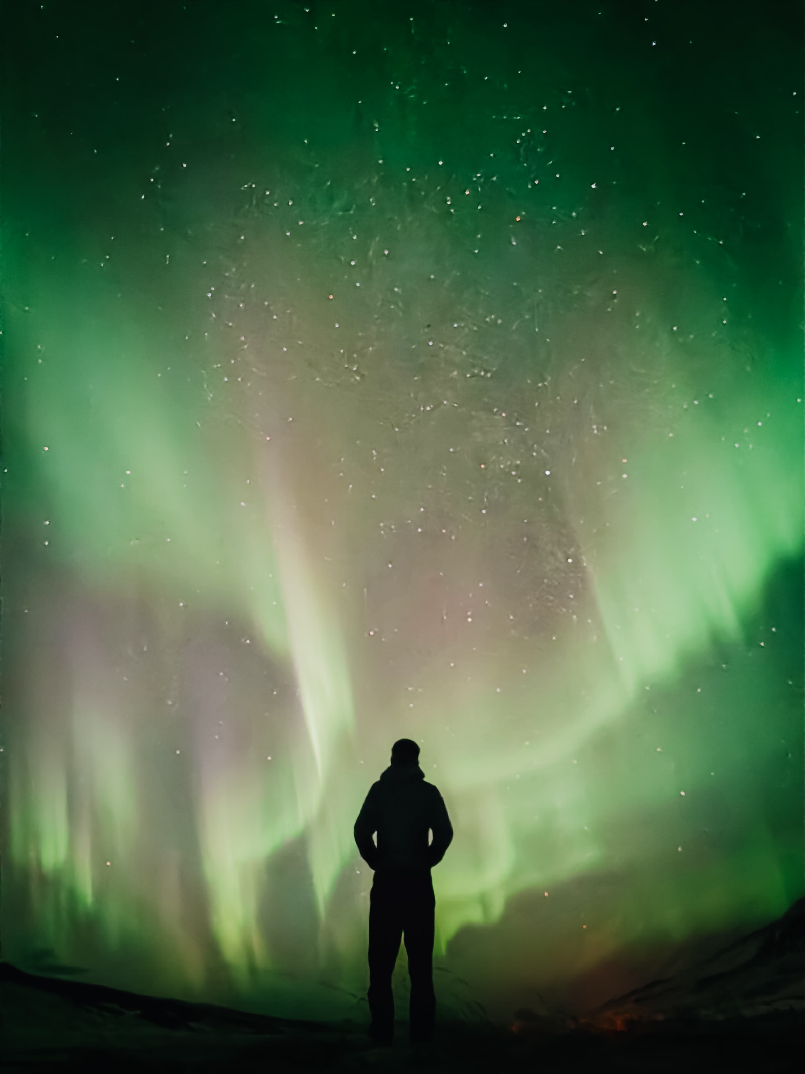 Adventure! Arctic Odyssey: Huskies and the Aurora Borealis!