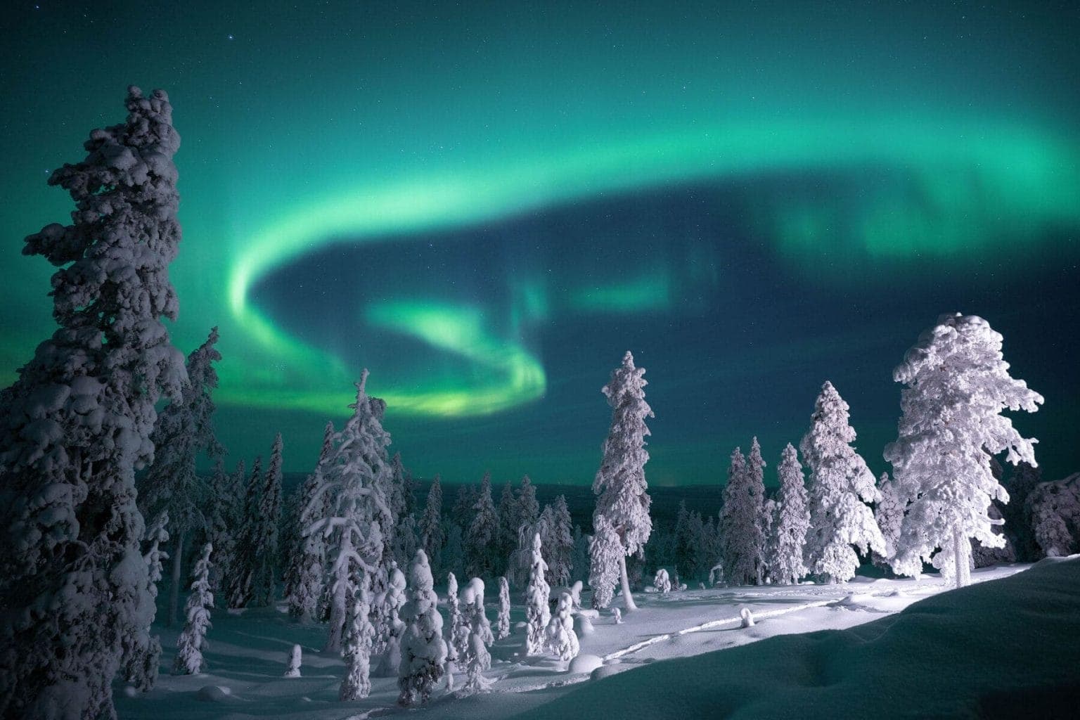 Rovaniemi: Family Aurora Evening Tour – Easy & Affordable Northern Lights Experience