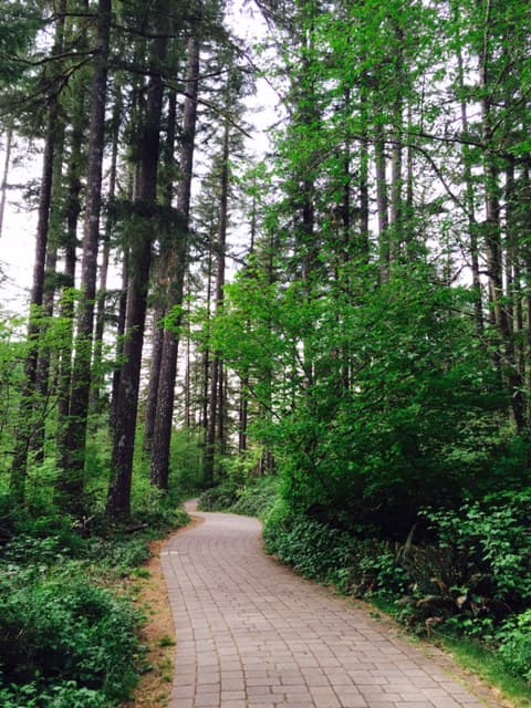 Private:  Hiking Adventure