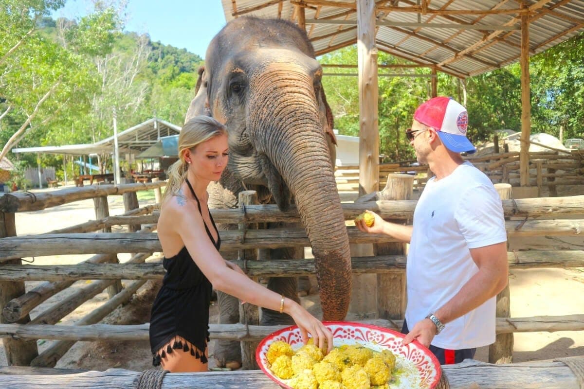 Phuket: Private VIP Elephant Care Program