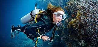 [Cerified divers Only] Shore Diving Experience