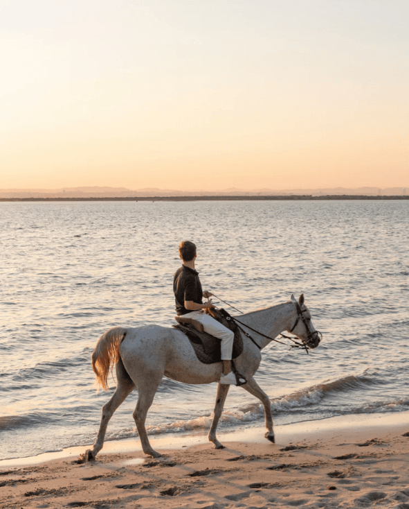 Sunset Beach Horseback Ride