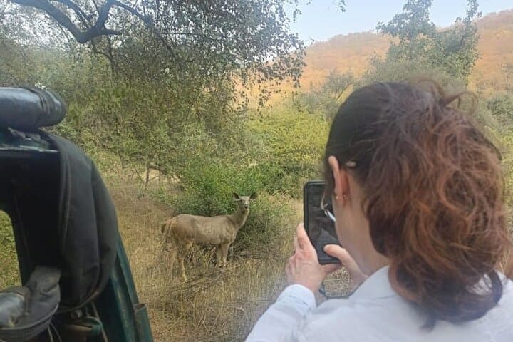 2 Days Sariska Wildlife and Heritage Escape from Delhi