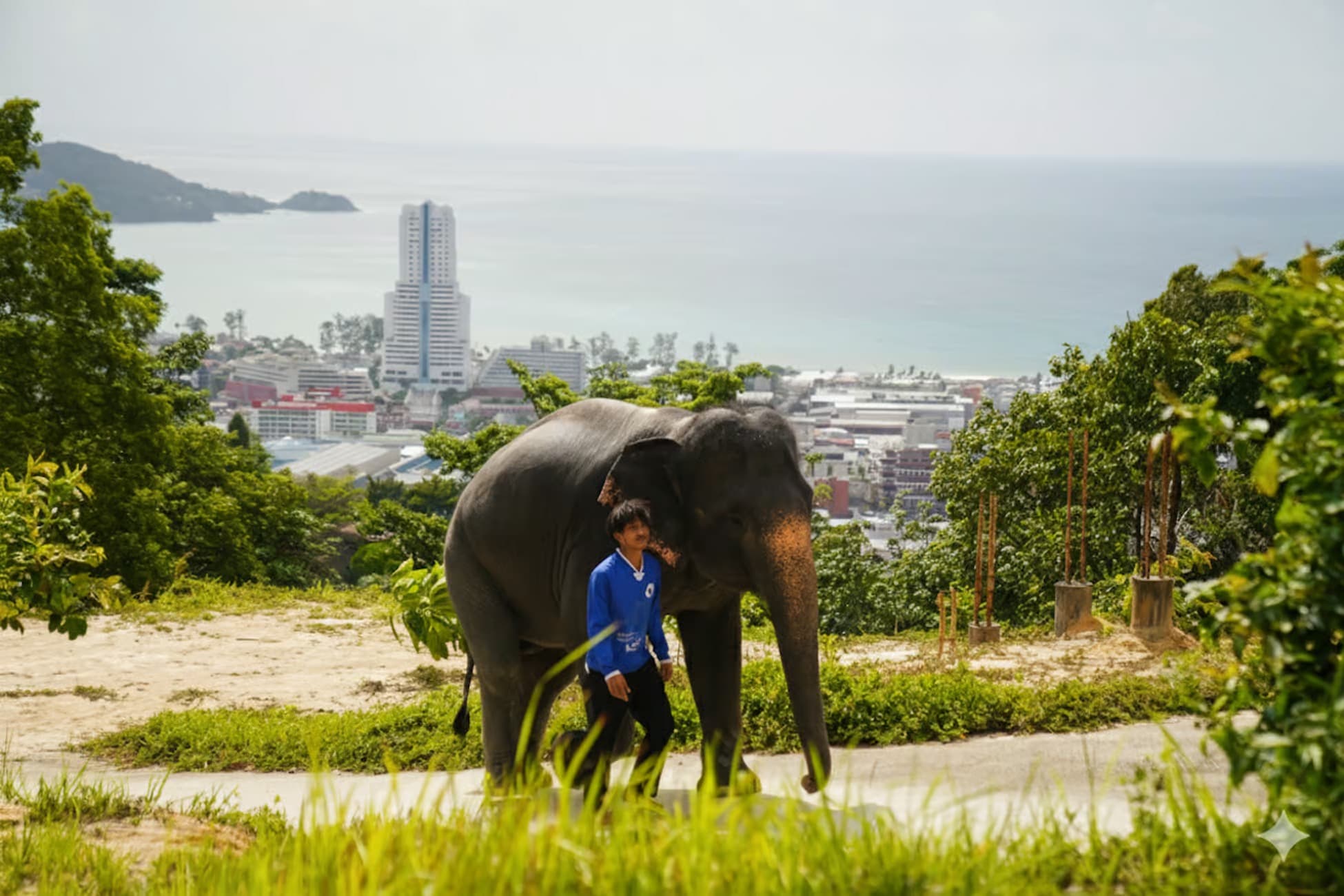 City Highlights & Ethical Elephant Care