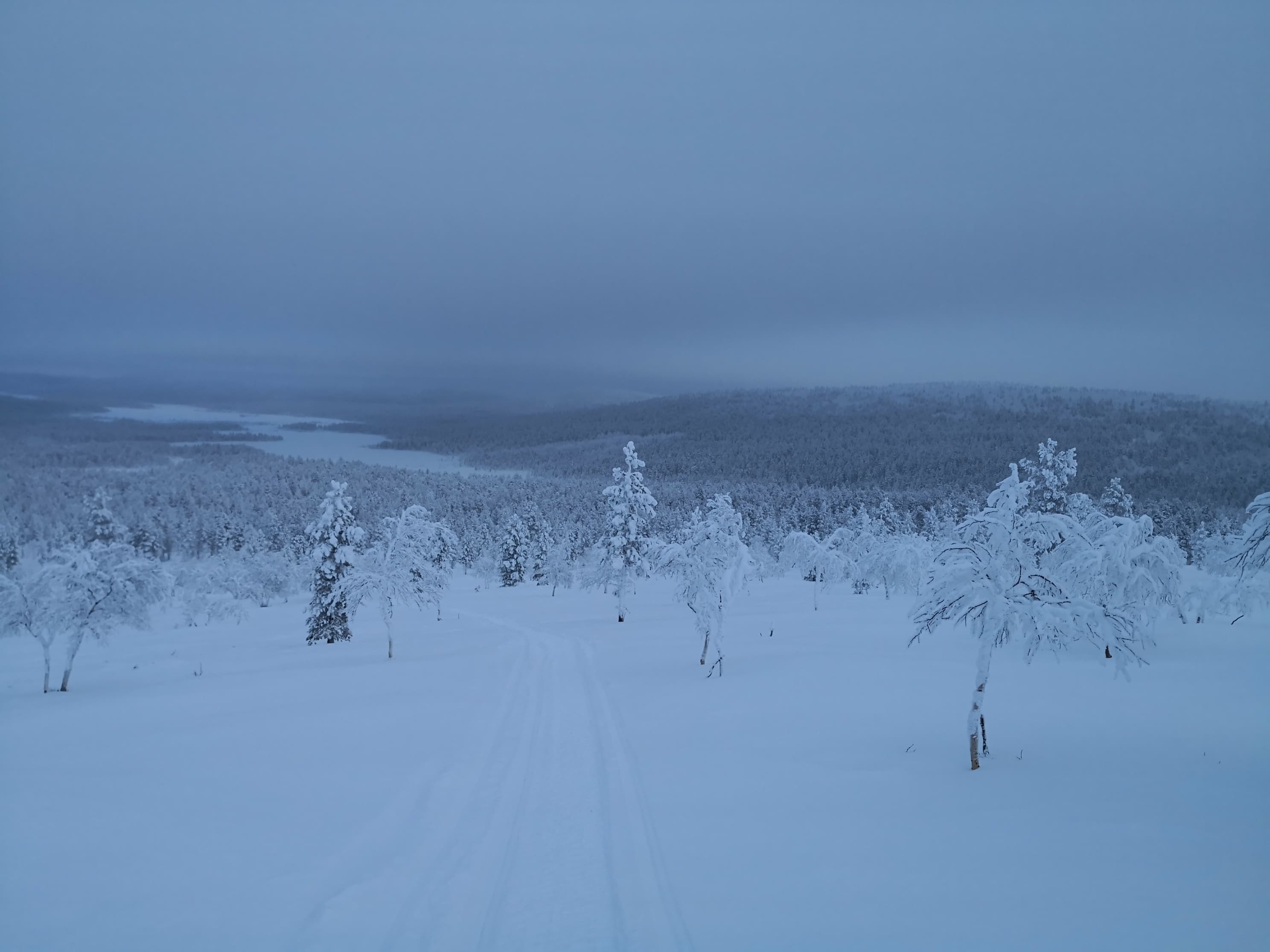 THE SINGLE SAFARI BY SNOWMOBILE