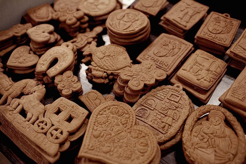 Torun - City of Copernicus - PRIVATE (3h)