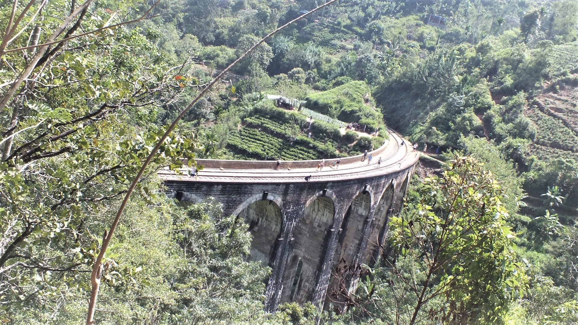 7 Days classic Tour in Sri Lanka