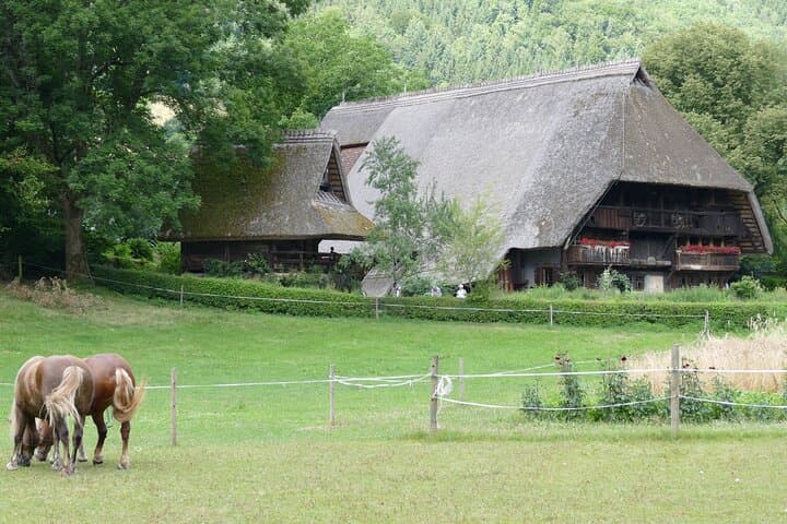 Depuis Strasbourg: Tour en Forêt-Noire