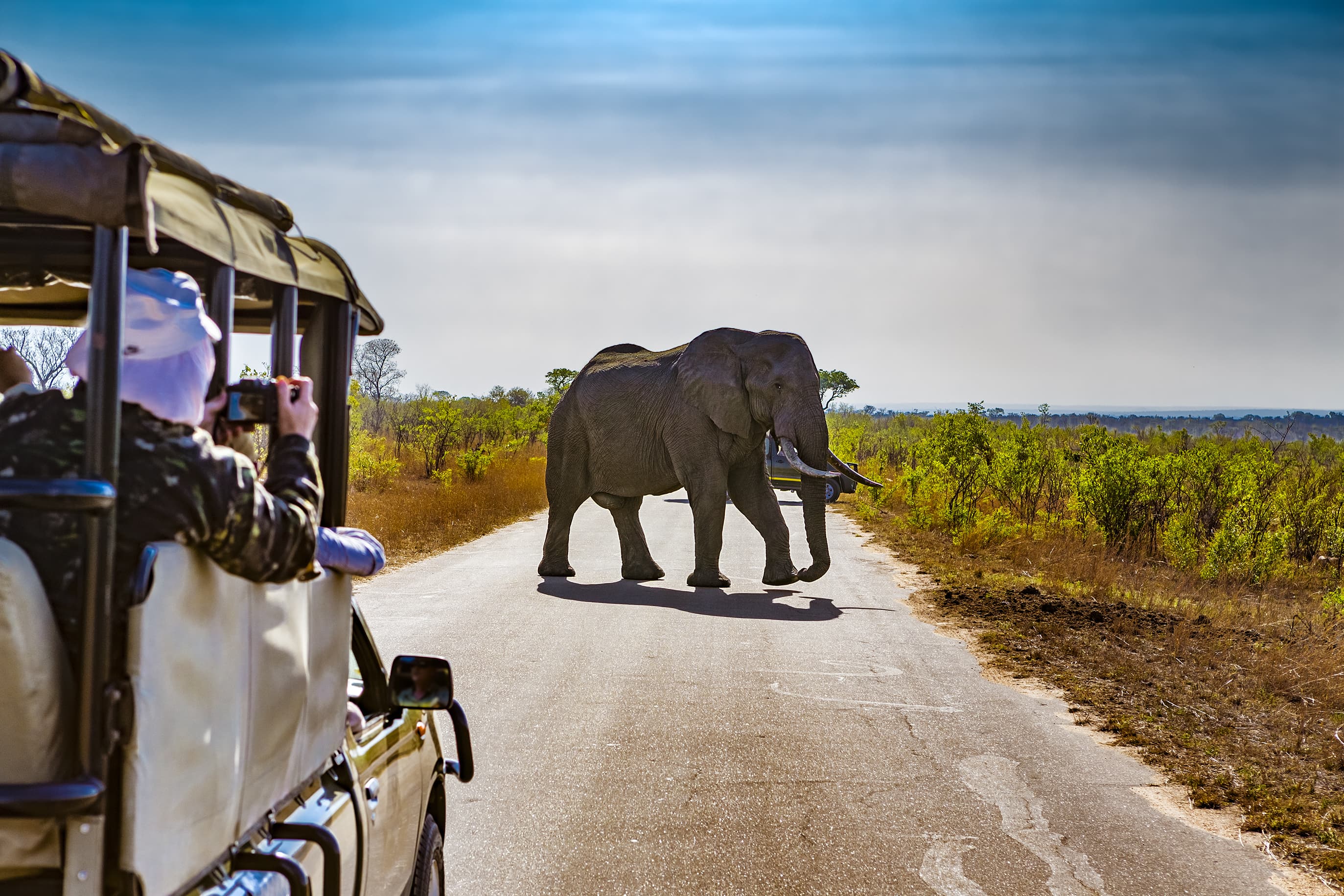An Unforgettable Safari from Johannesburg to Pilanesberg