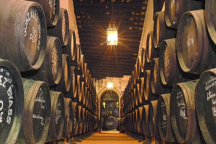 Jerez from Malaga Wineries with Wine Tasting and Equestrian Show