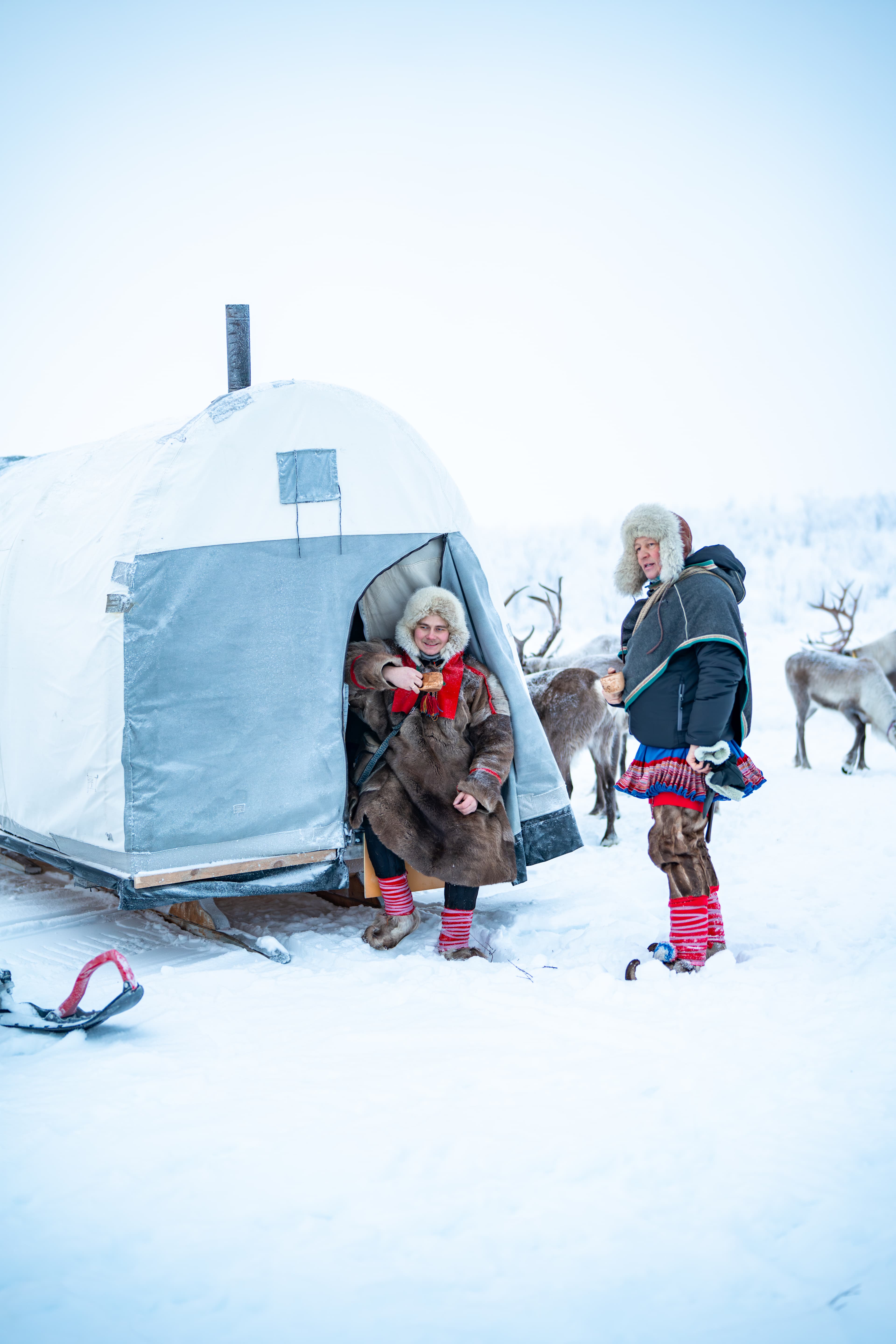 Private - Visit Sami People And Spend A Day Reindeer Herding From Levi (By request)