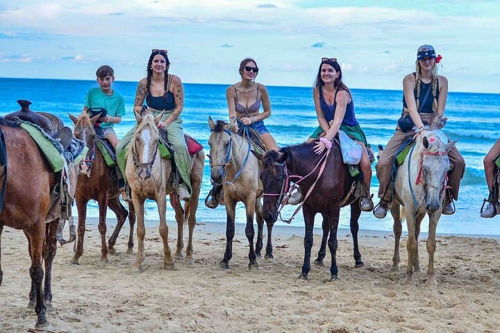 Punta Cana Beach Horseback Ride Paradise Coast Experience