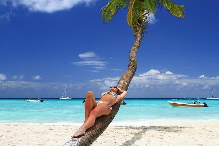 Saona Island Day Trip From Punta Cana with Lunch and Beverages 