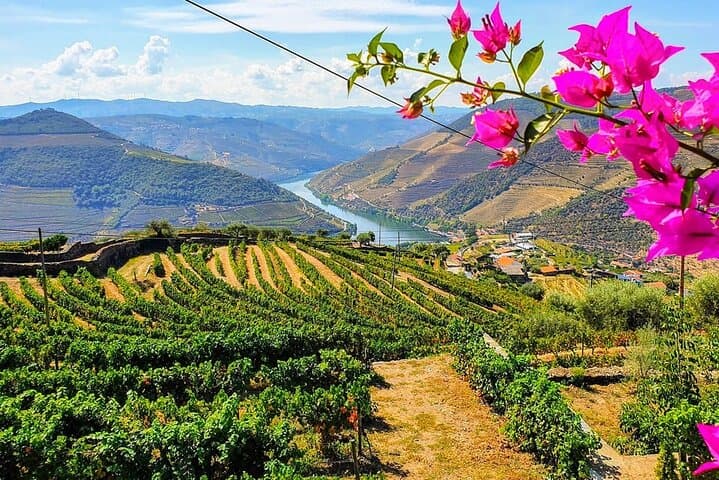 Douro Valley Day Tour with Two Wineries, Lunch and Boat Trip