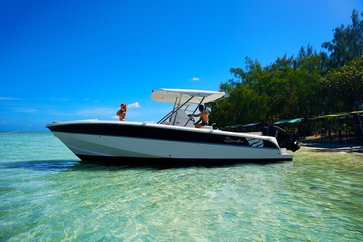 Full Day Dolphin Watching and Snorkeling Tour in Mauritius