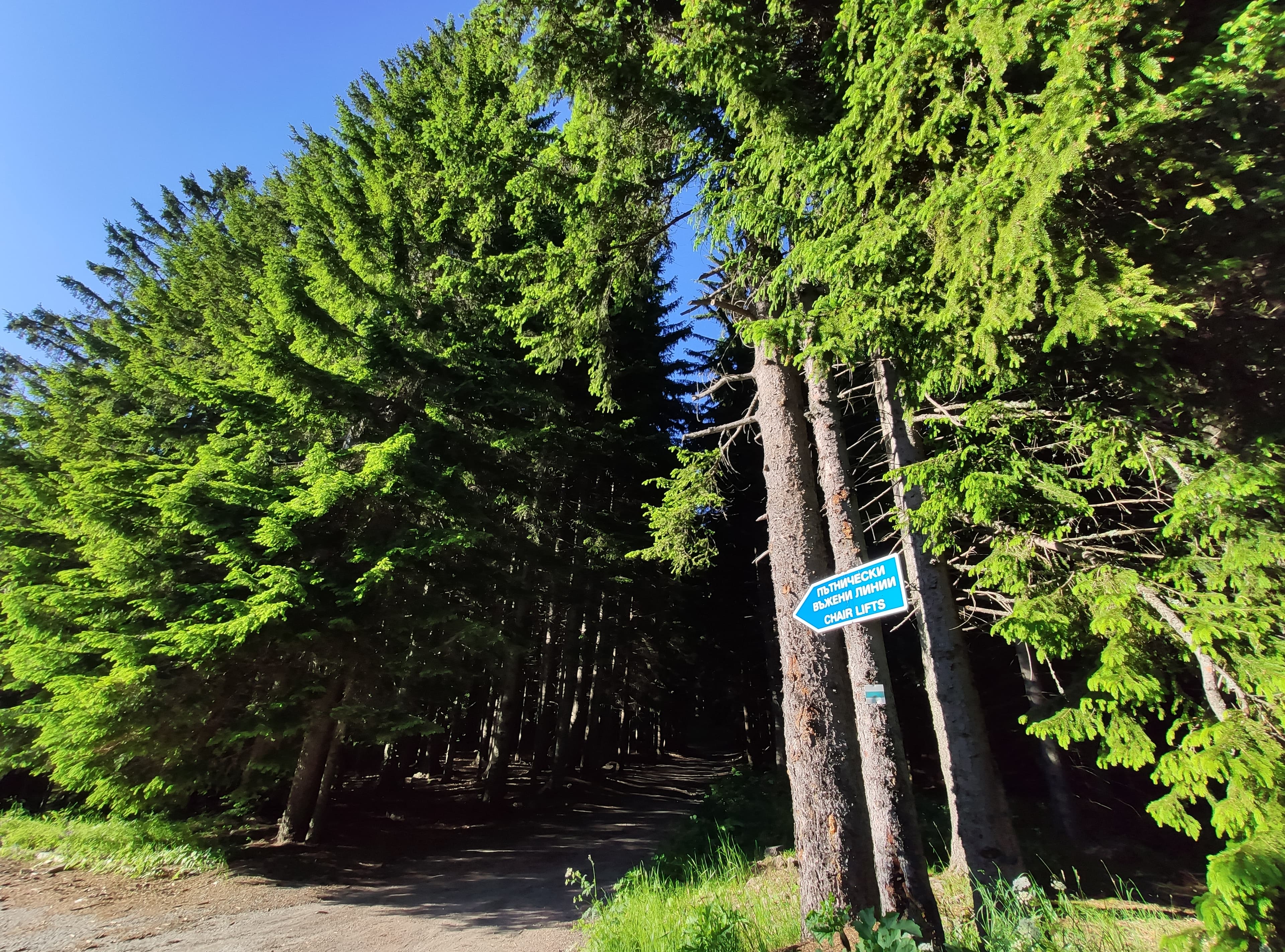 Private Vitosha Mountains Hiking with Black peak & Dragalevtsi Monastery