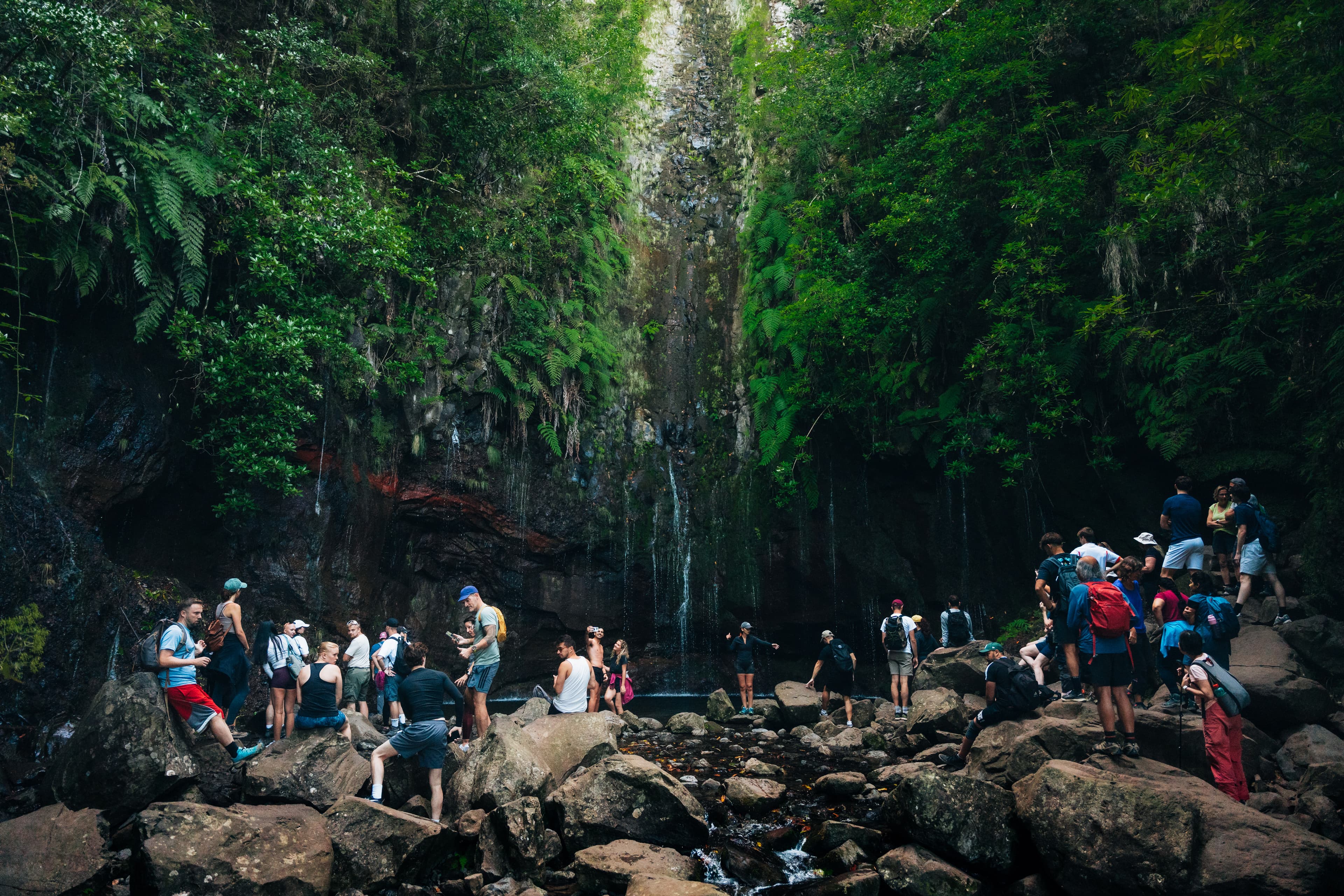 PR6 + PR6.1. 25 Fontes & Risco Levada Hiking Transfer