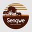 sengwe private tours andsafari