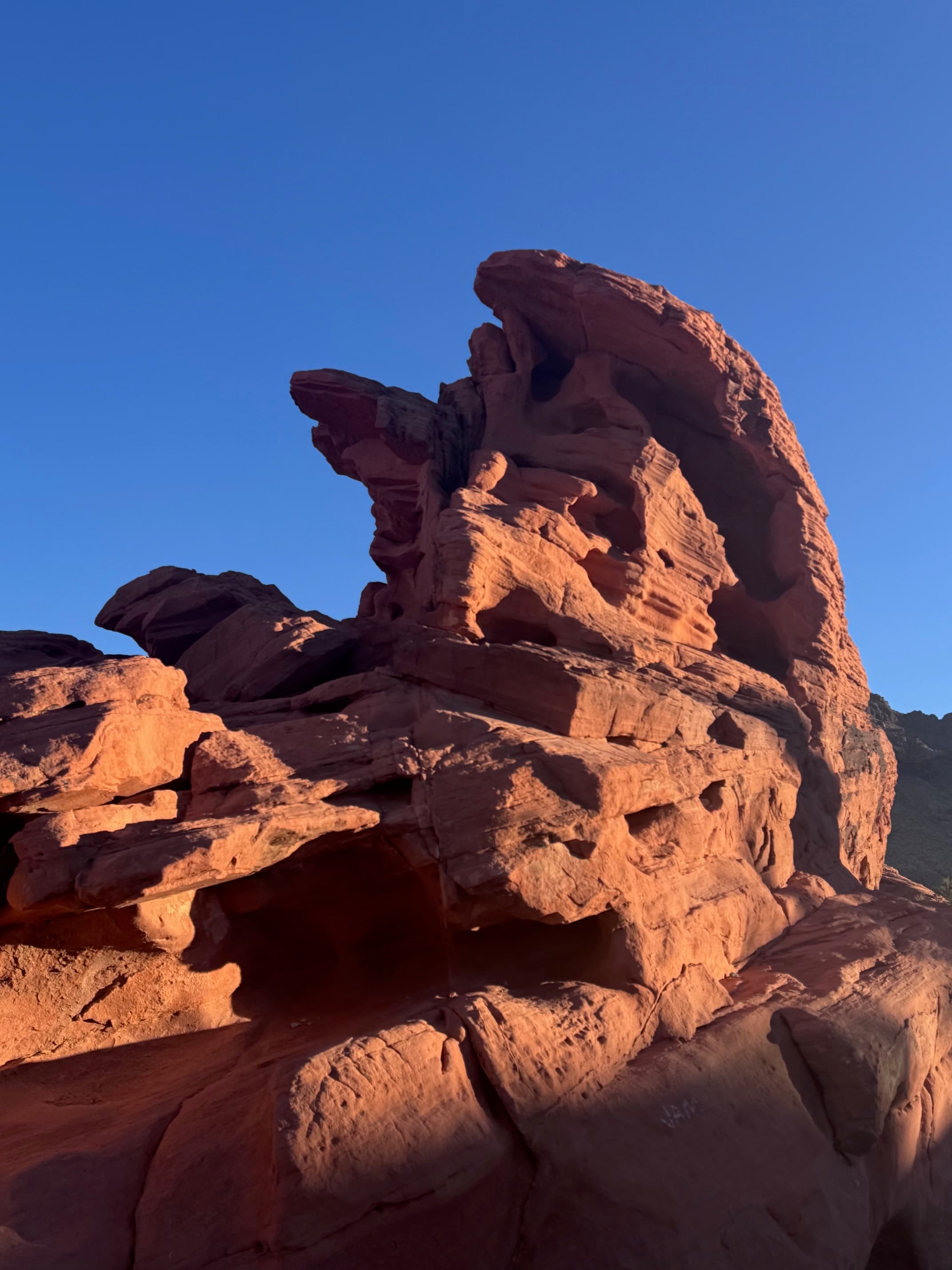 VALLEY OF FIRE Private Day Tour from LAS VEGAS 