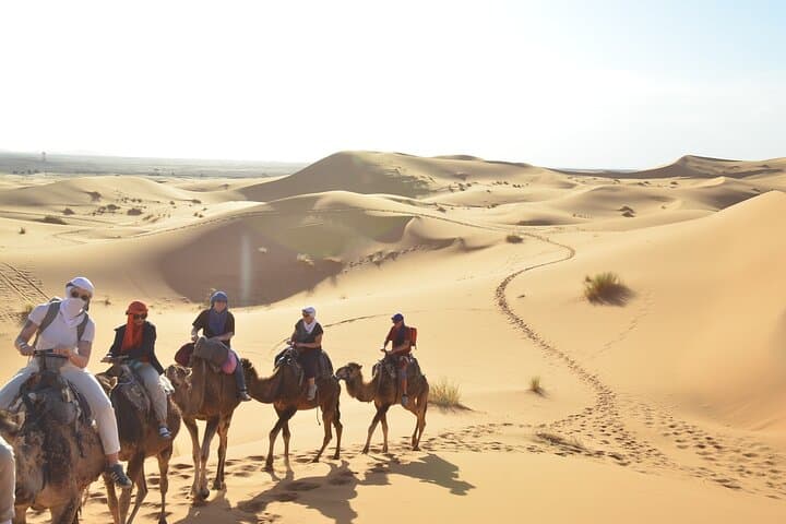 From Ouarzazate : 3-Day Merzouga Sahara Tour Option Ending in Fes