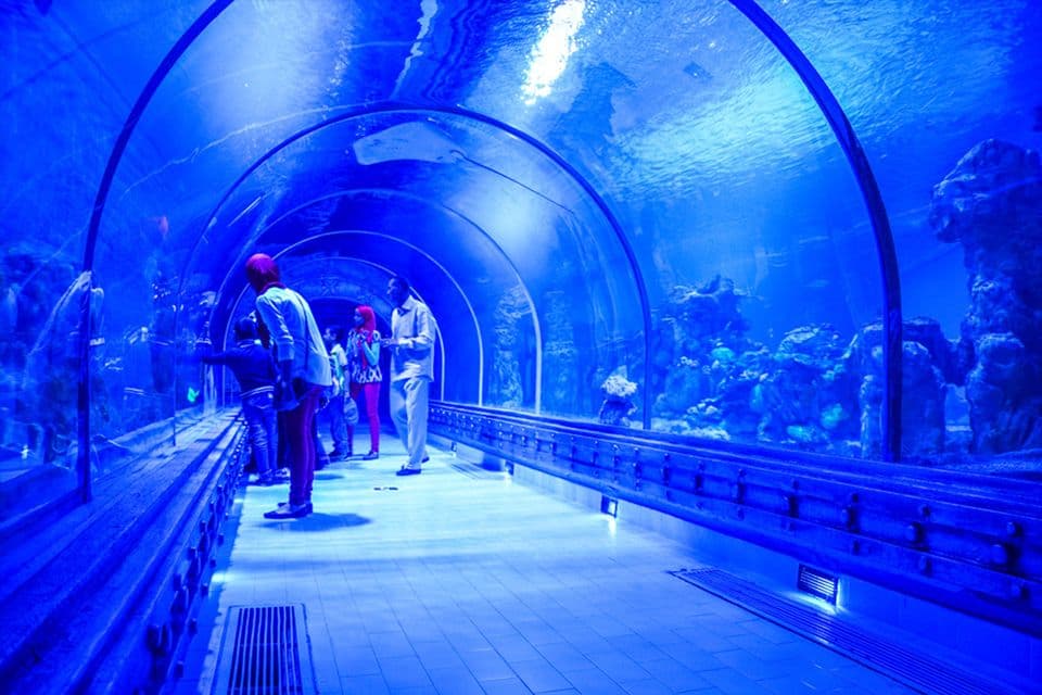 Get the Best Hurghada Grand Aquarium Tickets