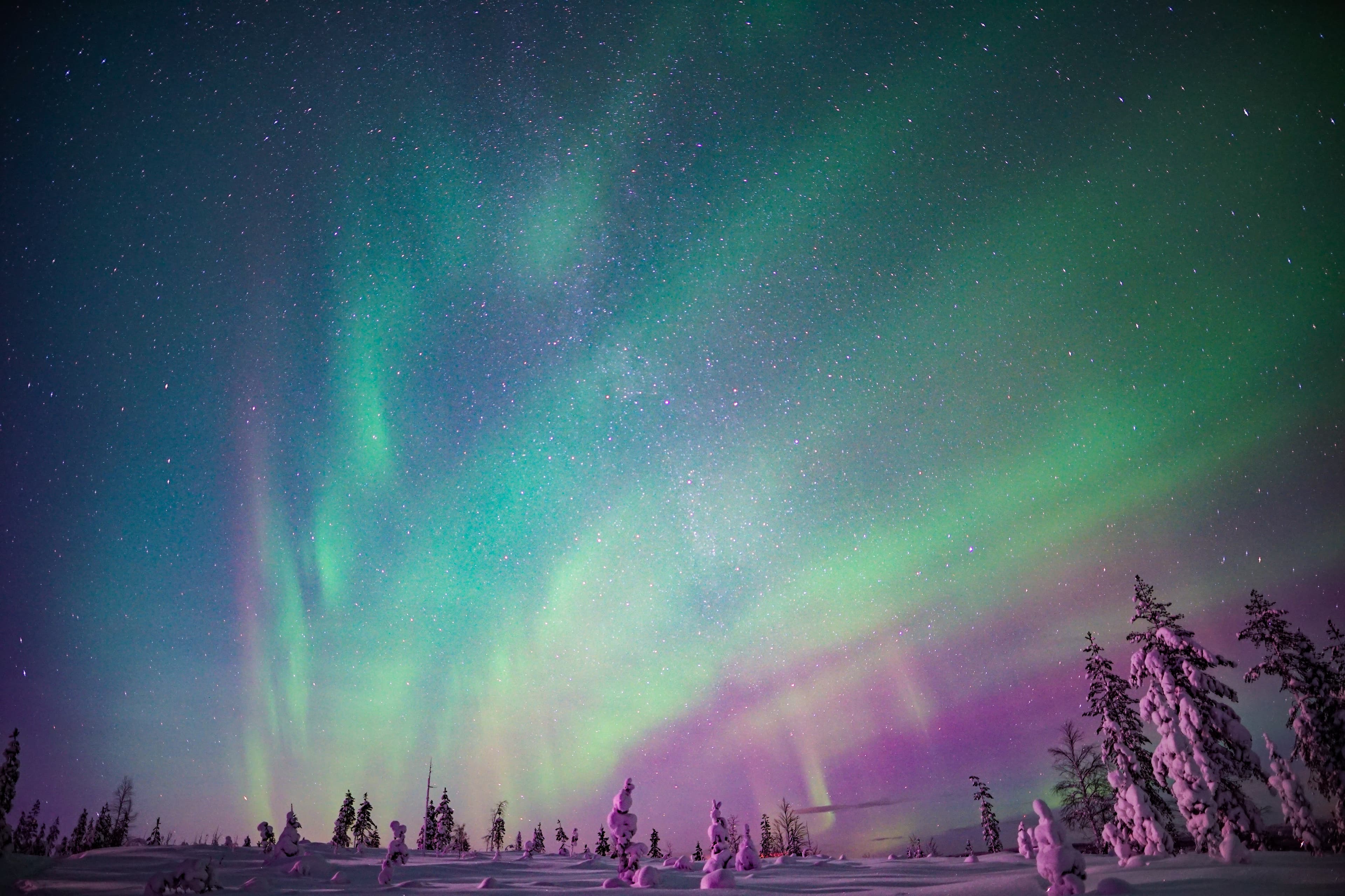 Northern Lights Family-Friendly Snowmobile Safari