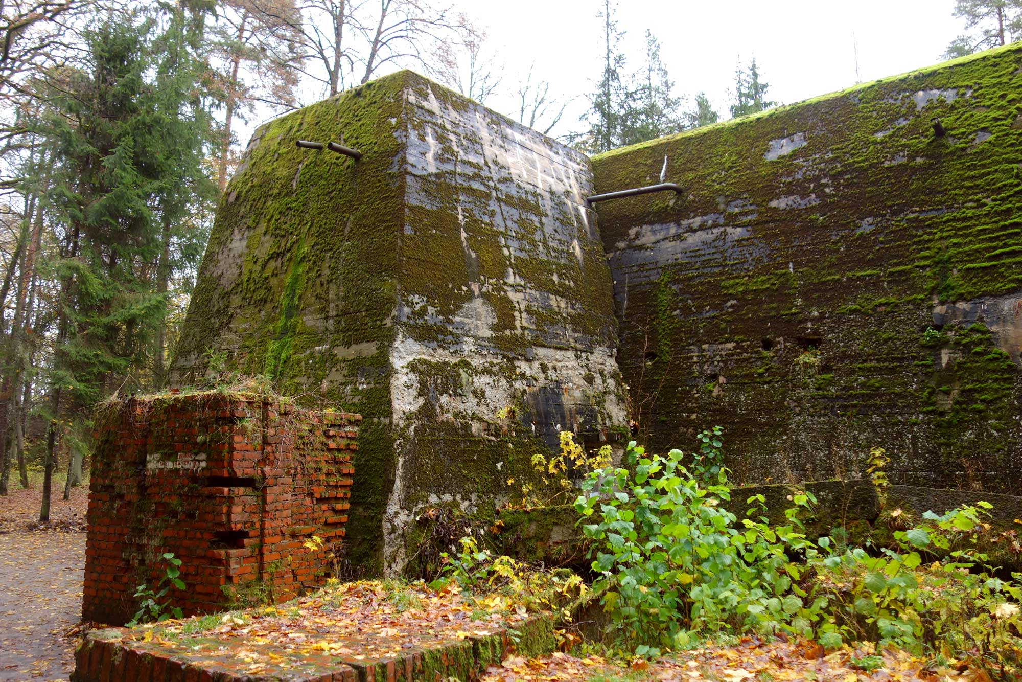 Tour from Warsaw: Wolf's Lair, Hitler's HQ zones I and II