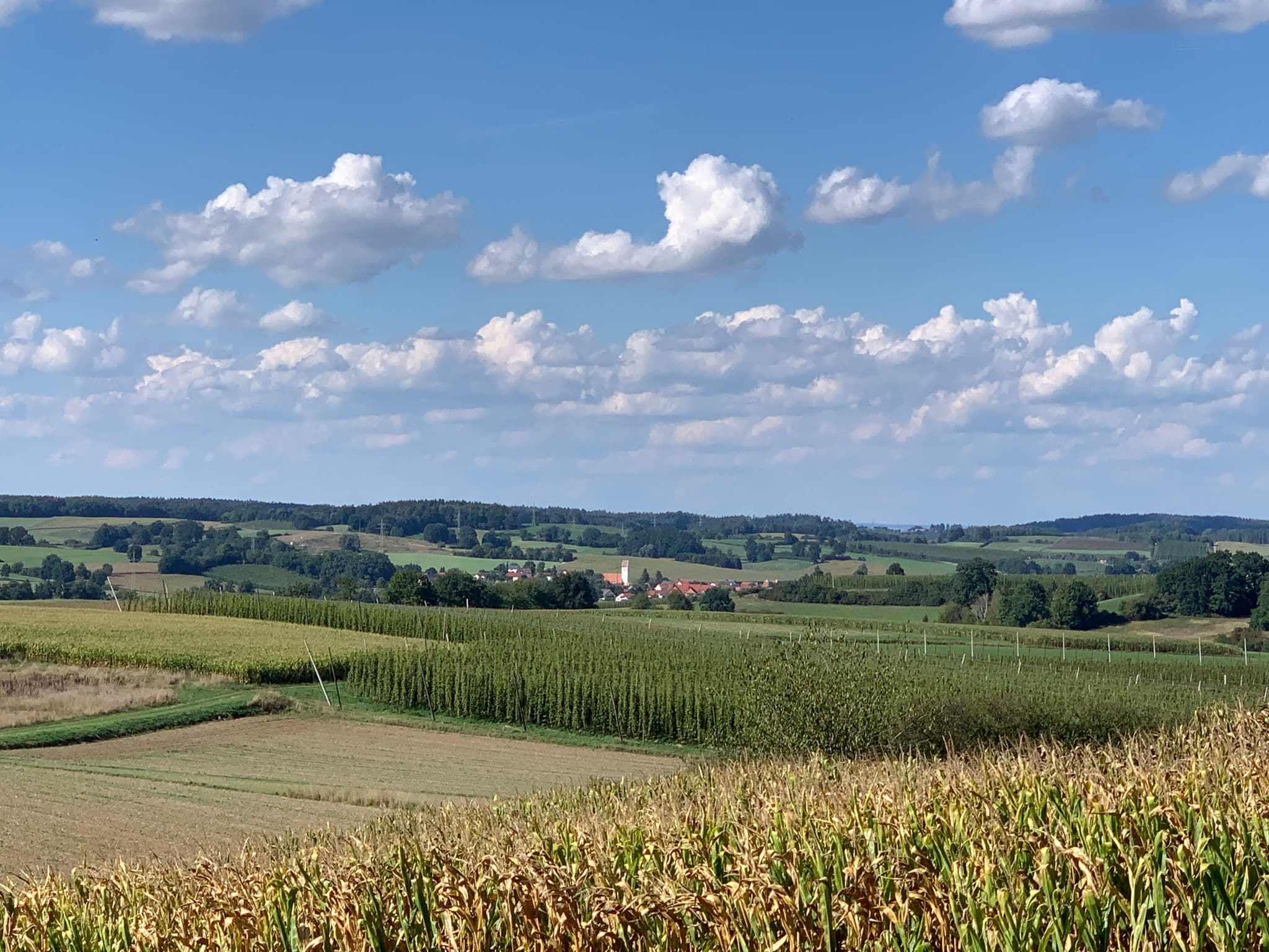 Cycling Tour Hallertau - Base Tour