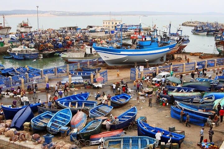 Full-Day Trip to Essaouira from Marrakech
