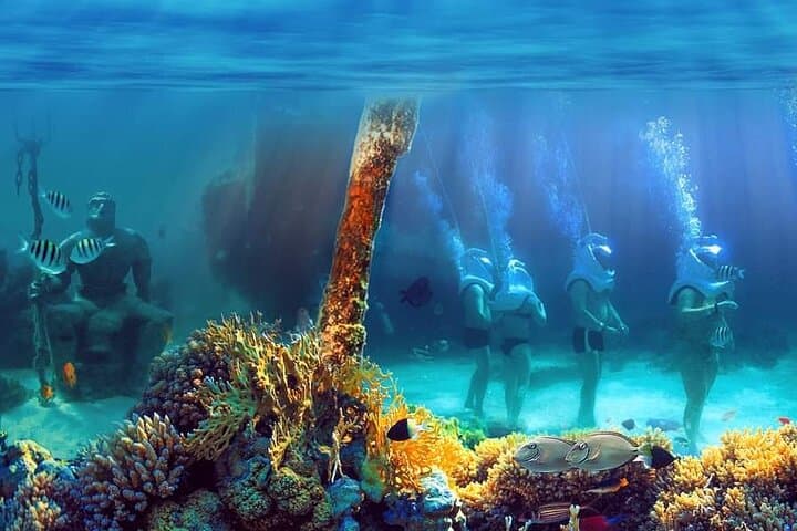 Marine Adventure Tour