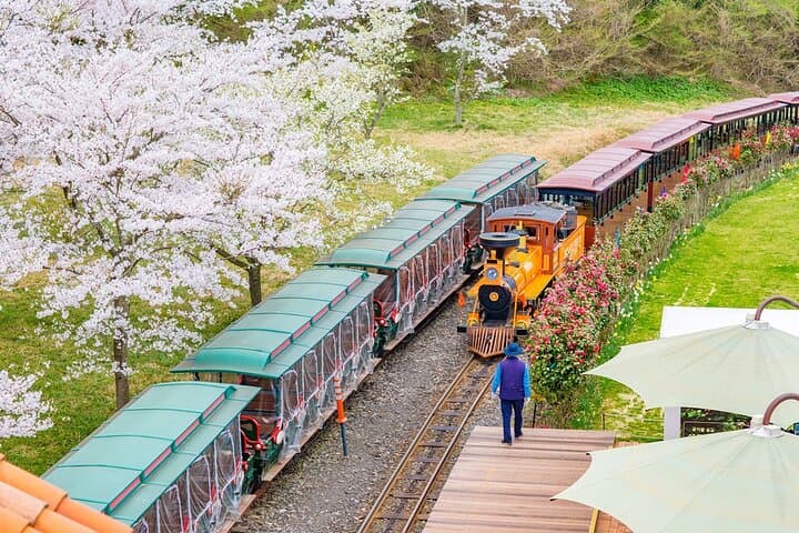 Jeju island private DAY Tour - South of Jeju