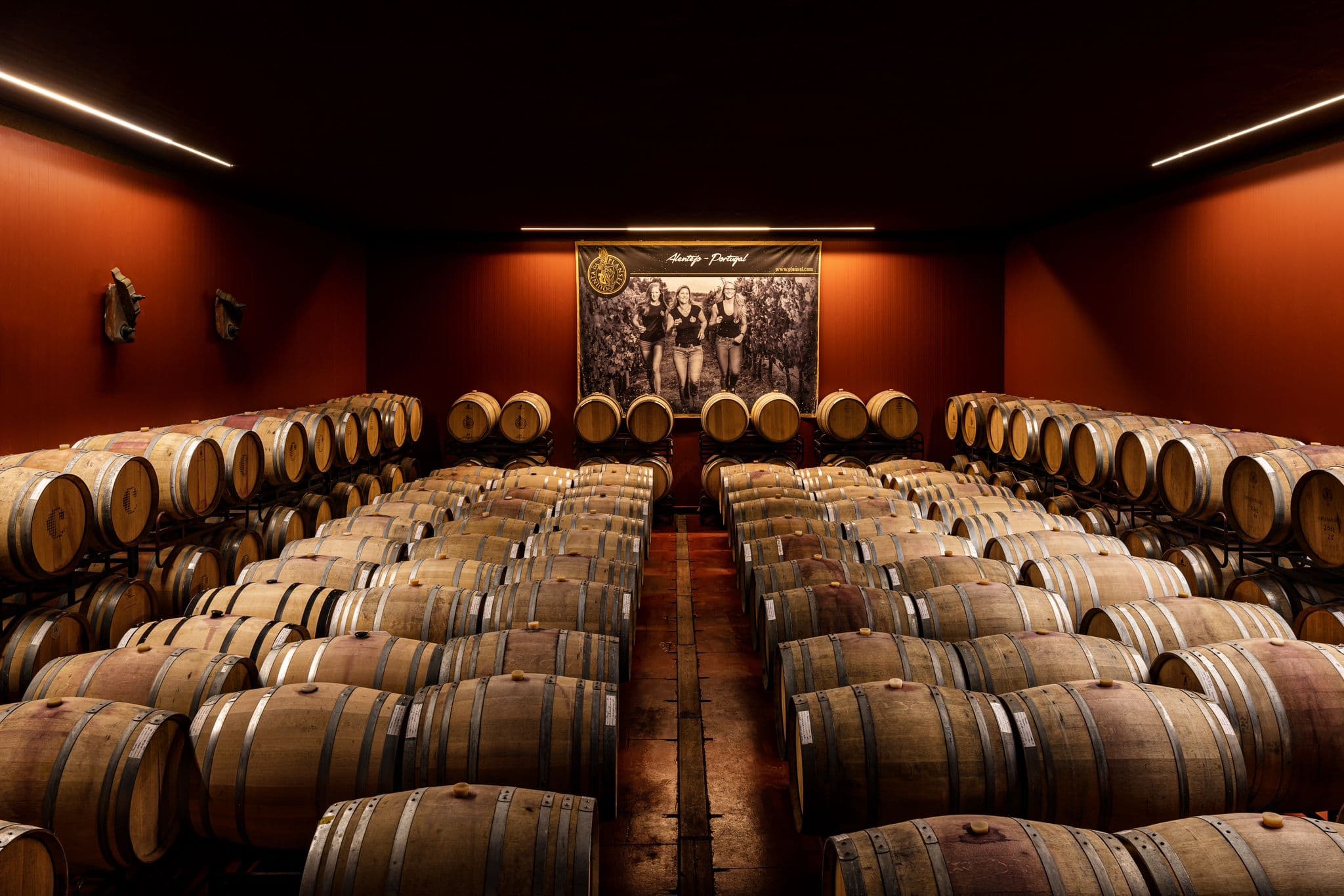 Évora or Montemor: Beekeeping, Chocolate factory, Wine tasting