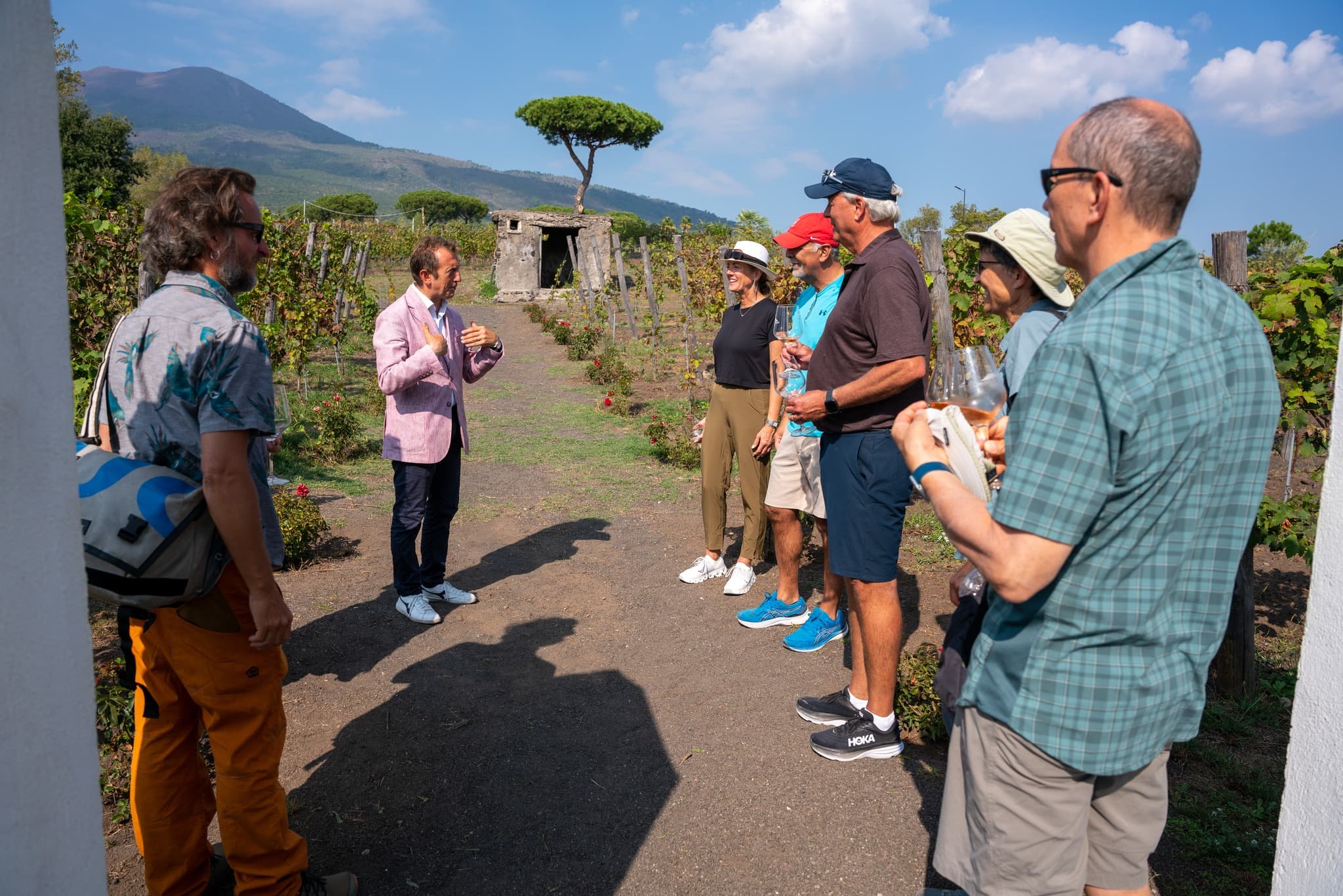 Visit of Pompei and Wine Tasting with Lunch on Vesuvius from Sorrento