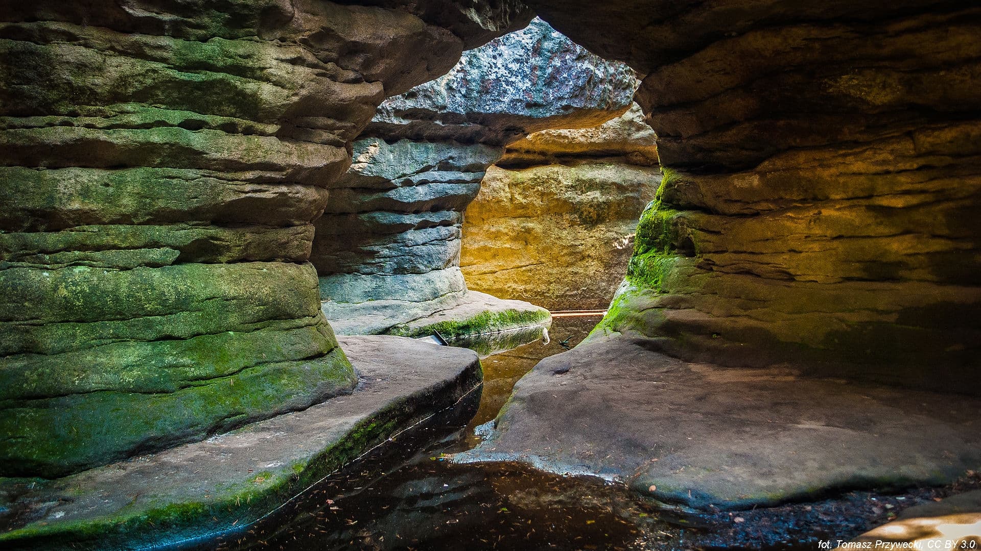 Trekking in Stolowe Mountains PRIVATE tour from Wroclaw (8h)