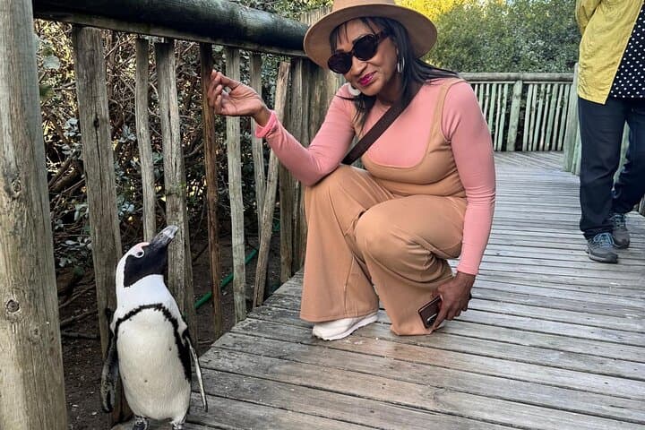 Pre Booked Tickets to Table Mountain, Penguins & Cape Point 