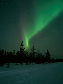Magical-Lapland